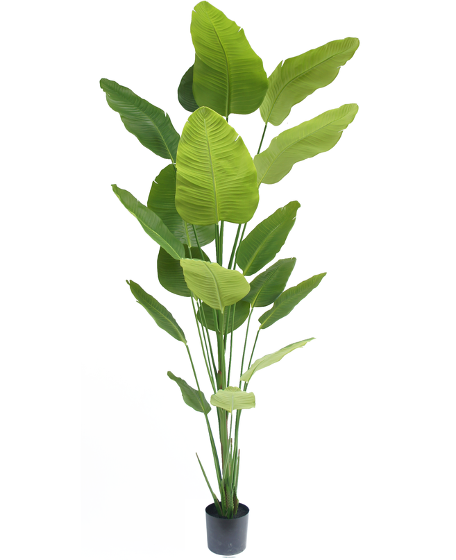 Kunstig plante Strelitzia 240 cm ægte touch