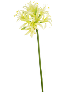 Kunstig blomst Nerine 70 cm grøn