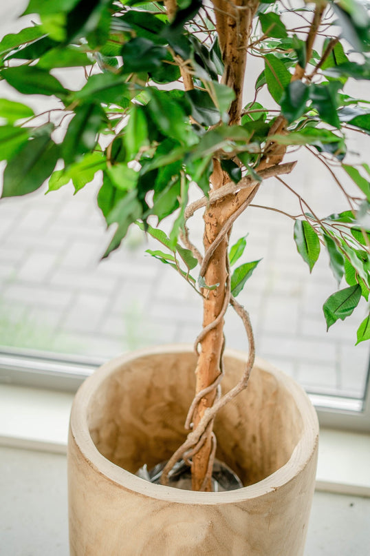 Kunstig plante Ficus Green 150 cm