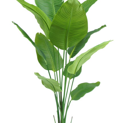 Kunstig plante Strelitzia 150 cm ægte touch