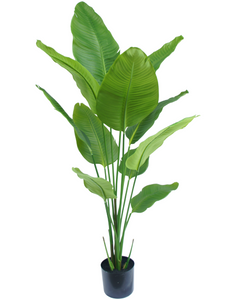 Kunstig plante Strelitzia 150 cm ægte touch