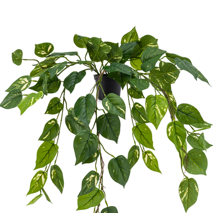 Kunstig hængeplante Pothos 70 cm