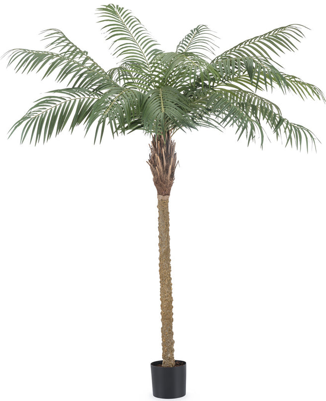 Kunstig plante Phoenix Palm De Luxe 180 cm