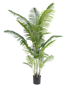 Kunstig plante Phoenix 210 cm