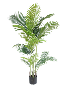 Kunstig plante Phoenix 170 cm