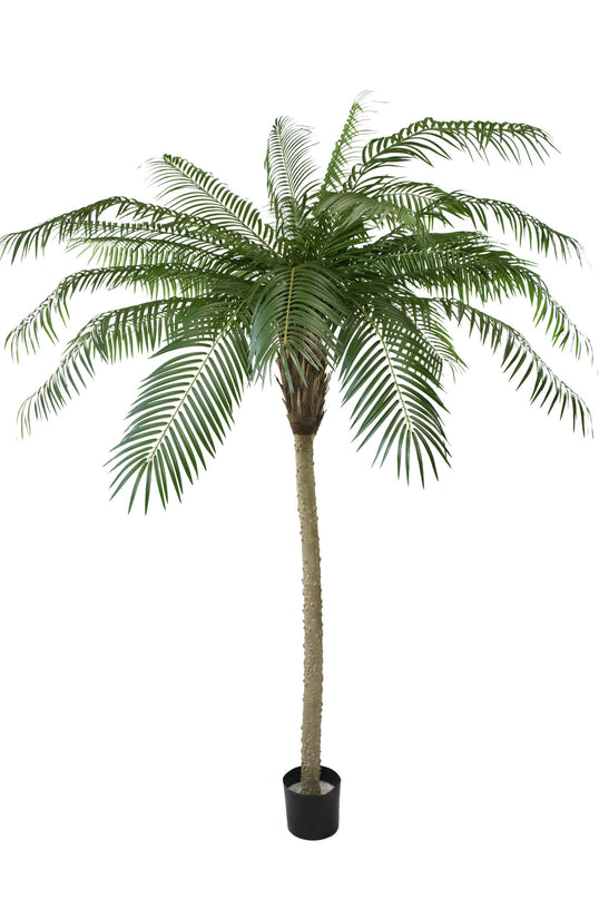 Kunstig palme Phoenix De Luxe 210 cm