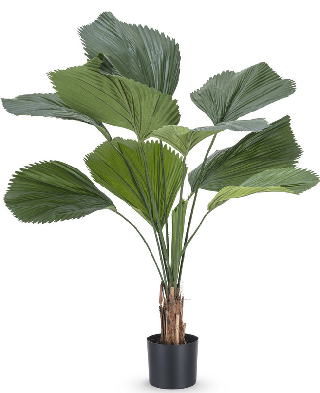 Kunstig plante Lucuala Grandis 120 cm