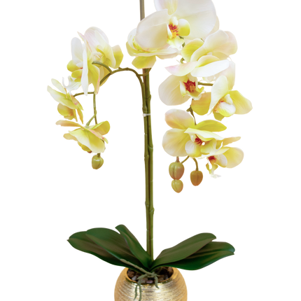 Kunstig orkidé 56 cm gul i guldpotte