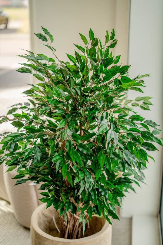 Kunstig plante Ficus Liana 120 cm