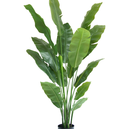 Kunstig plante Strelitzia Nicolai Deluxe 180 cm