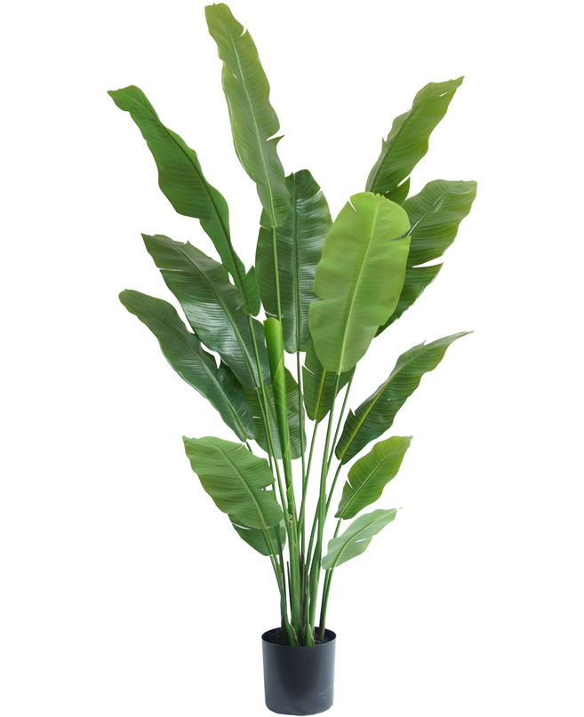 Kunstig plante Strelitzia Nicolai Deluxe 180 cm