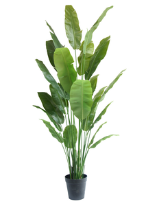 Kunstig plante Strelitzia Nicolai Deluxe 240 cm