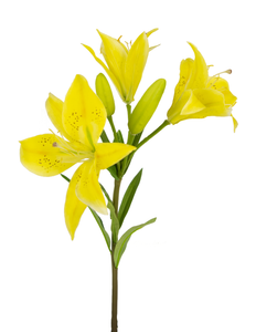 Kunstig blomst asiatisk lilje 66 cm gul