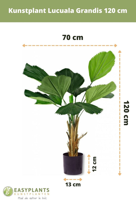 Kunstig plante Lucuala Grandis 120 cm