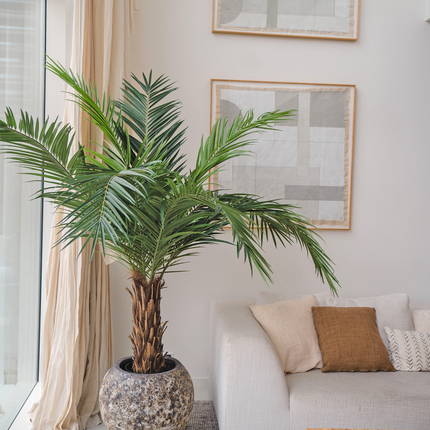 Kunstig palme Phoenix Canary 160 cm