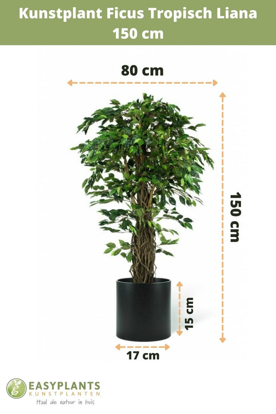 Kunstig plante Ficus Tropical Liana 150 cm