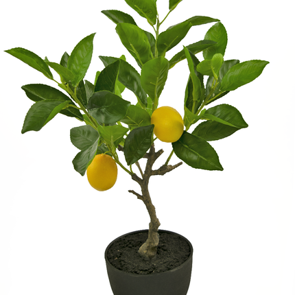 Kunstigt citrontræ 40 cm i potte sort