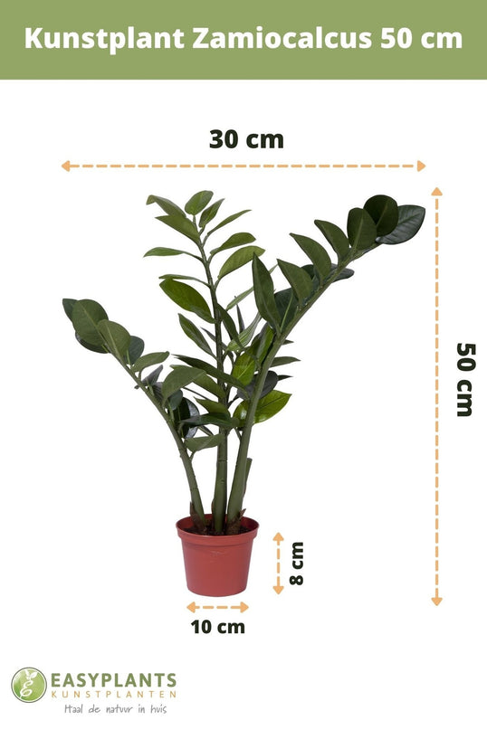 Kunstig plante Zamiocalcus 50 cm
