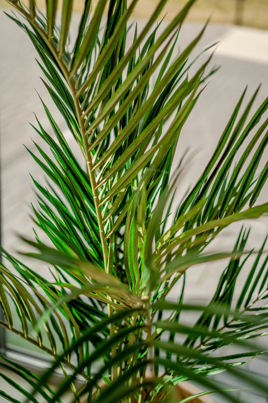 Kunstig palme Areca 150 cm