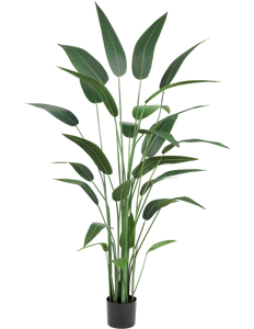 Kunstig plante Heliconia 180 cm