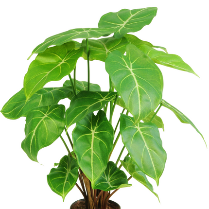 Kunstig plante Syngonium 58 cm