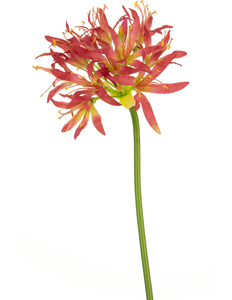 Kunstig blomst Nerine 70 cm fuchsia