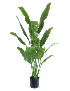 Kunstig plante Strelitzia Nicolai Deluxe 165 cm
