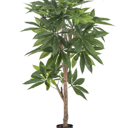 Kunstig plante Pachira fletning 115 cm