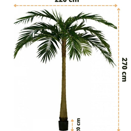 Palm XL Deluxe 270 cm