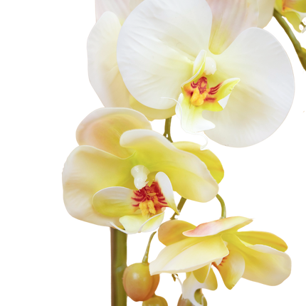 Kunstig orkidé 56 cm gul i guldpotte
