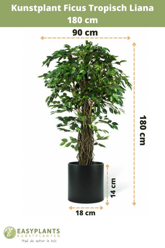 Kunstig plante Ficus Tropical Liana 180 cm