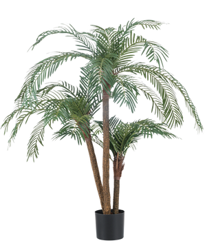 Artificial Palm Cycas Classic 135 cm har flere slanke stammer og lange, hvælvede grønne blade, i en simpel sort potte mod en almindelig hvid baggrund.