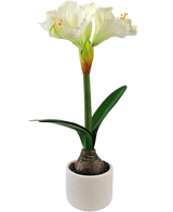 Den kunstige blomst Amaryllis Real Touch hvid 48 cm har en naturtro hvid amaryllisblomst med grønne blade og synlig løg i en lille hvid potte, perfekt til at tilføje elegance til ethvert rum.