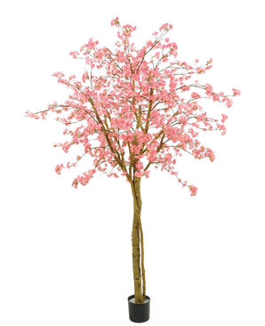 Artificial Cherry Blossom Pink Tree 240 cm har lyserøde blomster, brune grene og en sort potte mod en almindelig hvid baggrund.