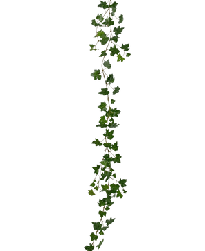 Den kunstige hængeplante Ivy guirlande deluxe 180 cm grøn er en lang, grøn efeukrans med spidse blade, der hænger lodret mod en almindelig hvid baggrund.