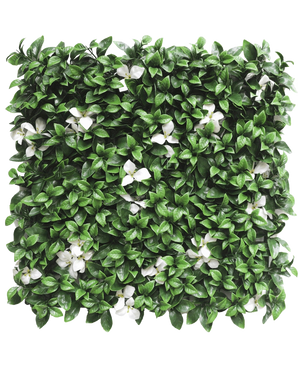 Artificial Hedge Gardenia med hvid blomst 50x50 cm UV er et firkantet panel med tætte grønne blade og spredte hvide blomster mod en hvid baggrund.