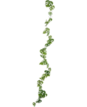 Den kunstige vinplante Monstera 182 cm er en lang kunstig lian med grønne, naturligt formede blade, som hænger lodret mod en almindelig lys baggrund.