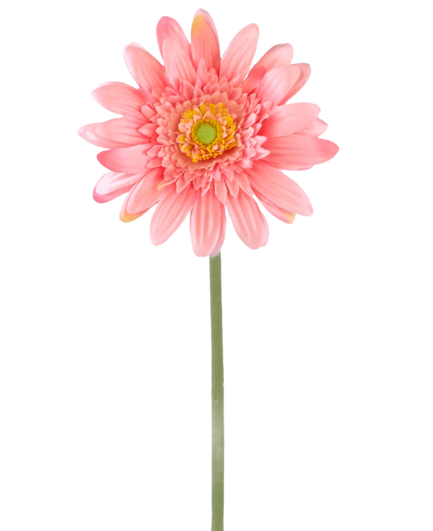 En Artificial Flower Gerbera 55 cm pink har en enkelt pink gerbera med et gulgrønt hjerte på en lang grøn stilk, mod en almindelig hvid baggrund.