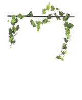 Een zwarte stang toont de Kunst Druiven guirlande brandvertragend 186 cm, met trossen groene druiven en weelderige bladeren, decoratief hangend tegen een effen witte achtergrond.