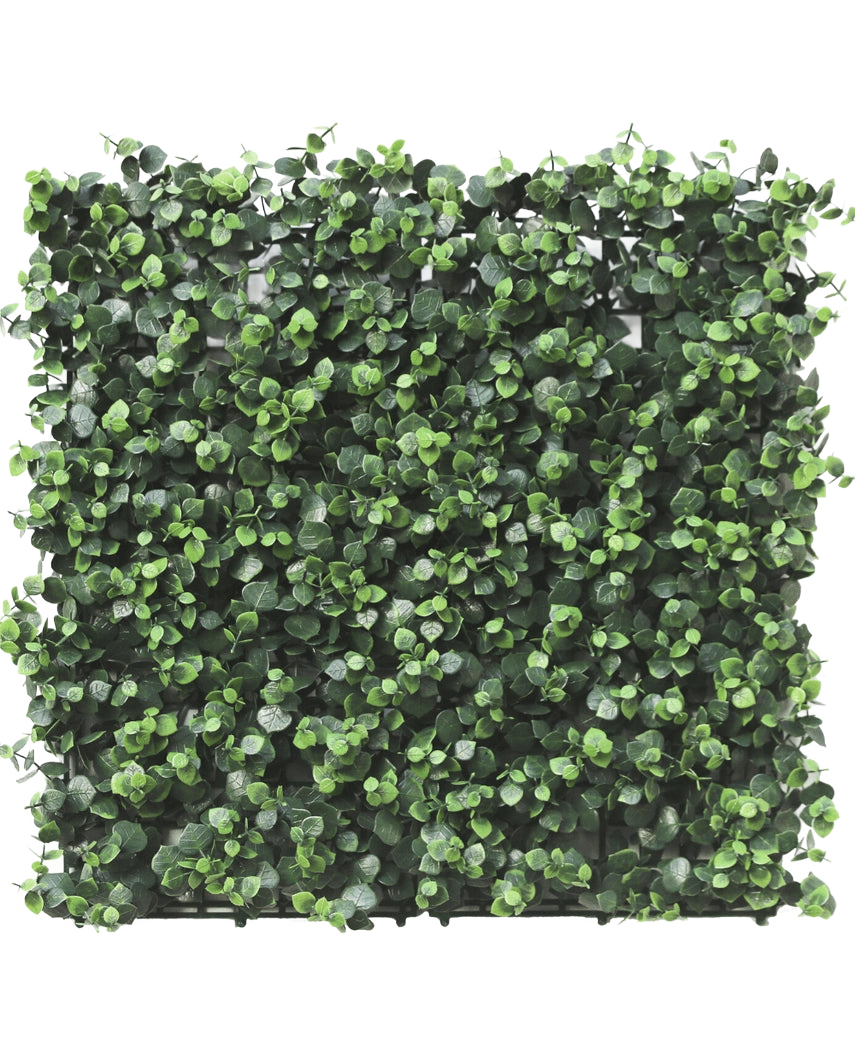 Artificial Hedge Eucalyptus 50x50 cm UV er et firkantet panel med tætte, små, runde kunstige eukalyptusblade, tæt pakket for et levende og naturligt look, perfekt til at skabe frodige lodrette haver eller dekorative vægge indendørs eller udendørs.