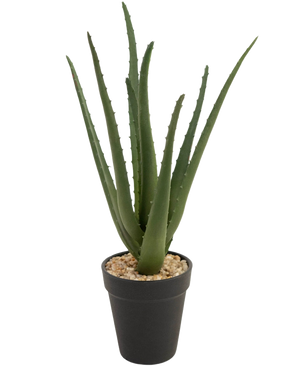 Kunstplanten Aloe Vera 33 cm har lange, tjavsede grønne blade, der vokser opad, i små sten i en slank sort potte, mod en hvid baggrund.