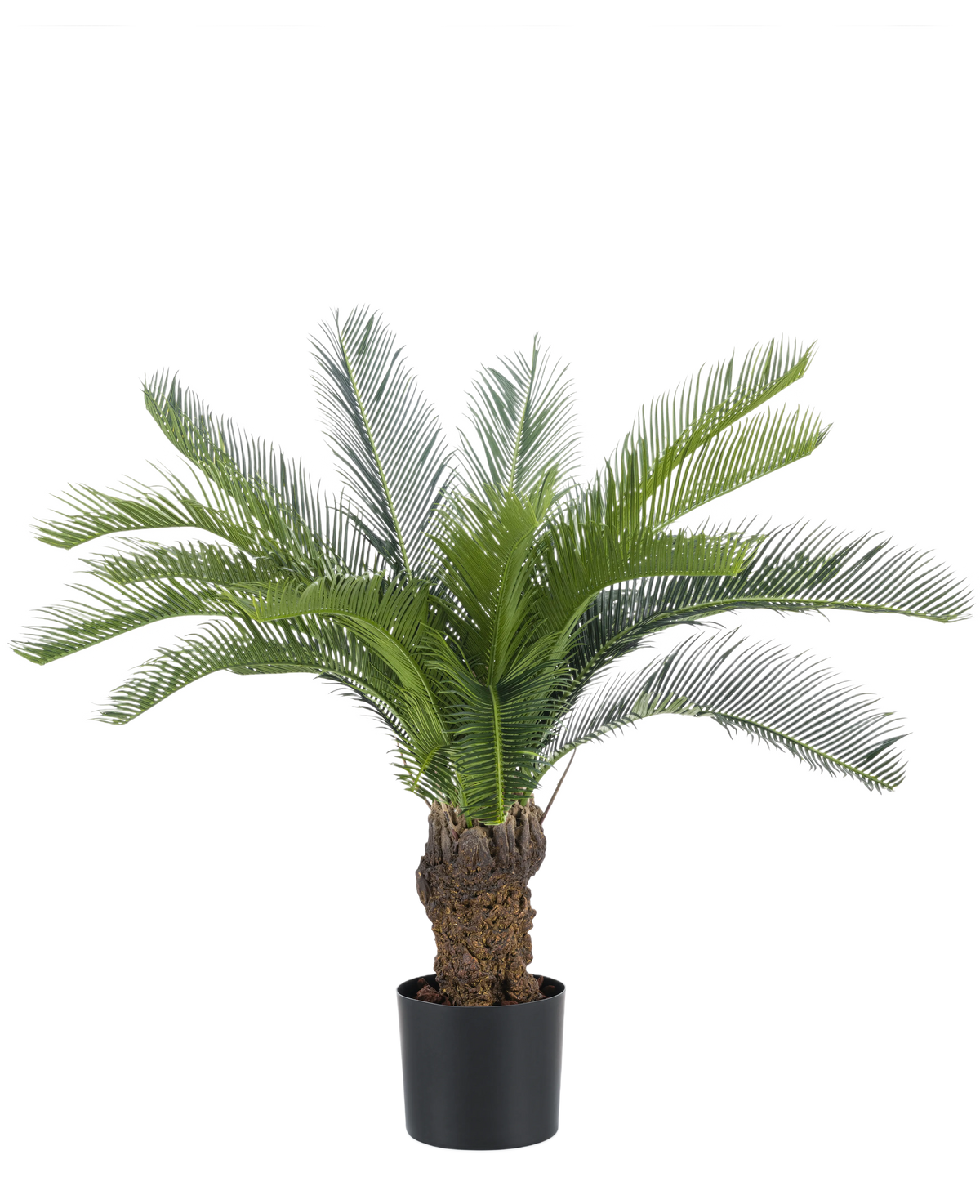 Artificial Cycas Palm 80 cm har en lang, buet grøn cycad og en tyk, struktureret stamme. Planten står i en simpel sort potte mod en almindelig hvid baggrund.