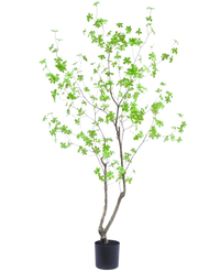 Kunstig plante Enkianthus 180 cm