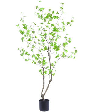 Kunstplanten Enkianthus 180 cm er en høj, slank potteplante med tynde grene og lysegrønne blade mod en almindelig hvid baggrund.