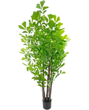 Den kunstige fiskehalepalme 210 cm er en høj kunstig plante i en potte med flere brune stængler og frodige grønne blade, præsenteret i en lille sort potte mod en hvid baggrund.