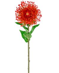 Kunstig blomst Protea 73 cm rød