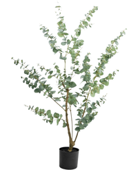 Kunstig plante Eukalyptus 150 cm