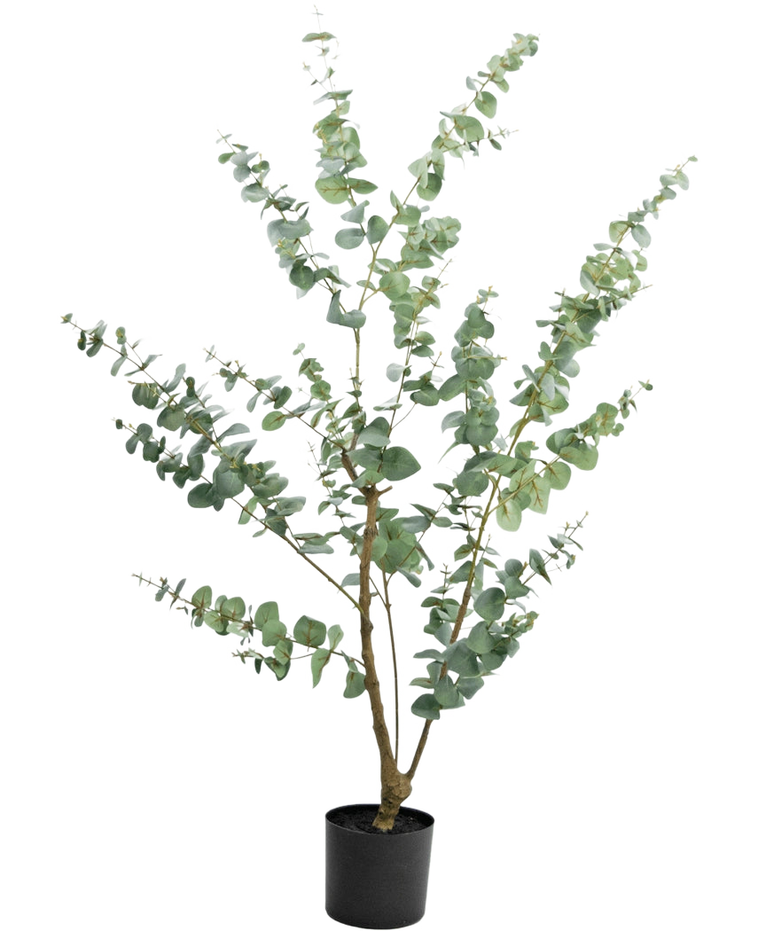 Kunstplanten Eucalyptus 150 cm er en høj kunstig eukalyptus i potte med lange, slanke grene og runde, sølvgrønne blade, mod en almindelig hvid baggrund.