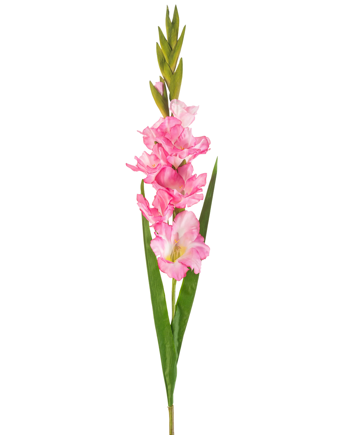 En enkelt kunstig blomst Gladiolus 93 cm lys pink med flere lys pink blomster og knopper, parret med lange grønne blade, på en hvid baggrund.