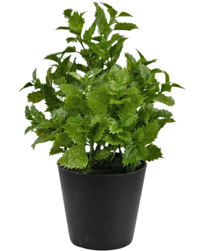 Kunstplant Perilla 25 cm: Een levendige groene bladplant met gekartelde randen in een eenvoudige zwarte pot, perfect om een vleugje natuur toe te voegen aan elke kamer.